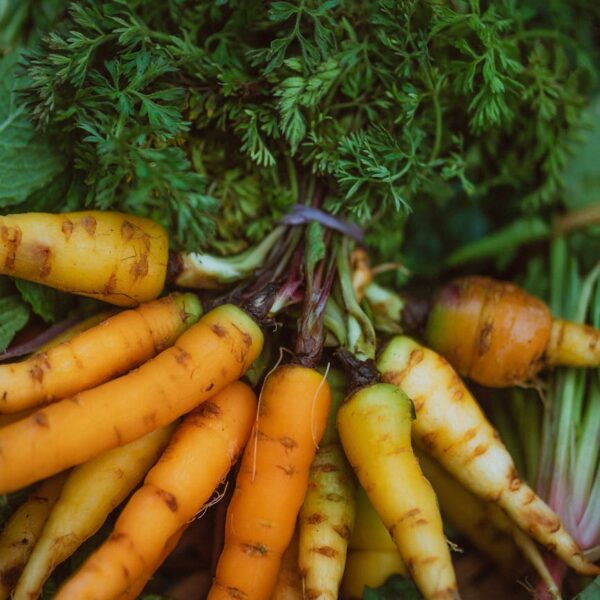 Zielony Listek: Jak rozpoznać prawdziwą żywność ekologiczną?