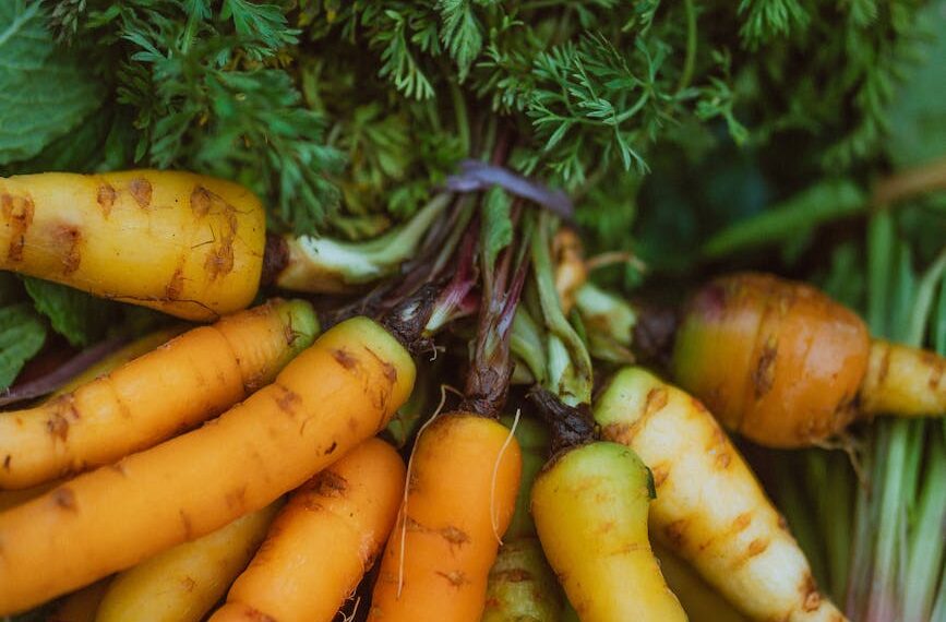 Zielony Listek: Jak rozpoznać prawdziwą żywność ekologiczną?